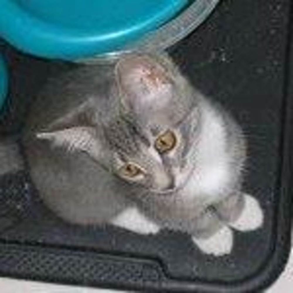 Meet your Posher, Jodee